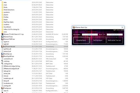 Release Call of Duty Black Ops 1 BGamer T5 LAN/Offline Client .